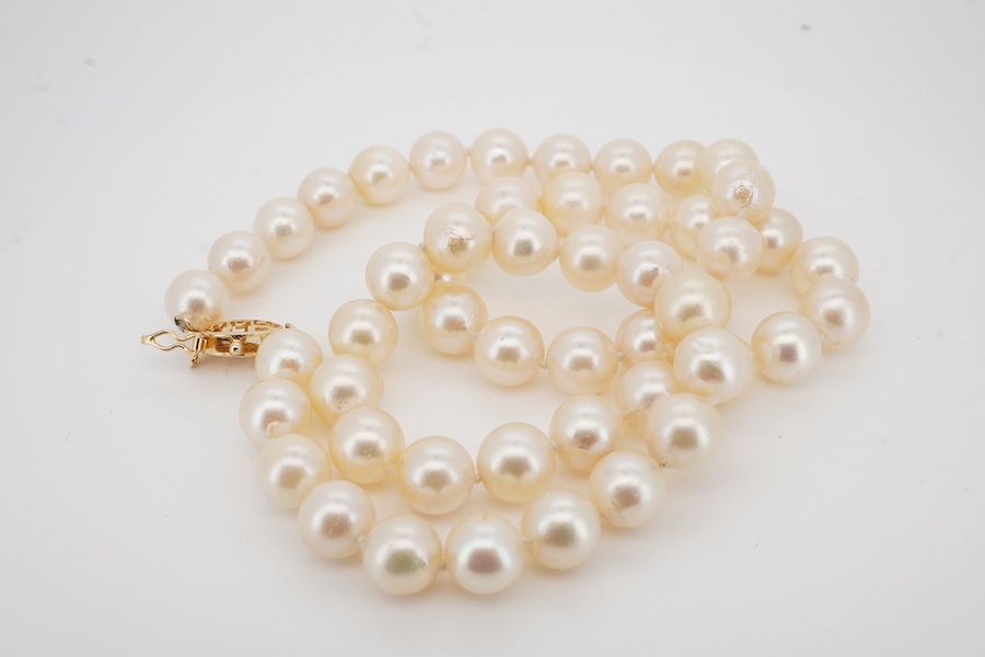 A single strand cultured pearl necklace, with Chinese 14k yellow metal clasp, 42cm. Condition - fair to good